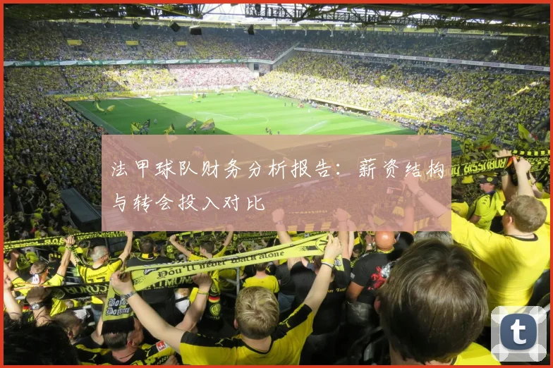 法甲球队财务分析报告：薪资结构与转会投入对比