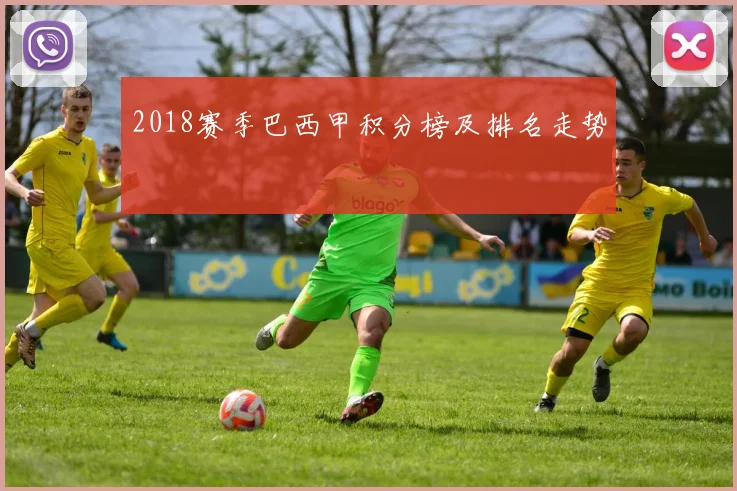 2018赛季巴西甲积分榜及排名走势