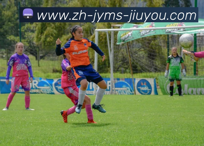 多媒体互动体验